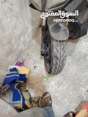  8 شصيات للبيع
