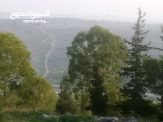  3 1000 متر مربع في اكتابا للبيع
