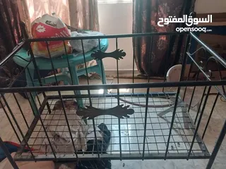  3 تحت اطفال حديد تفصيل للبيع