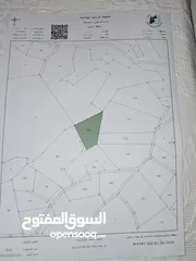  2 ارض للبيع 5 دونم في جرش المصطبة