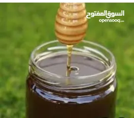  4 عسل نحل ممتاز ،جبنه بيضاء ممتاز بما يرضي الله