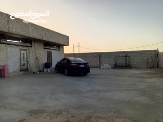  2 معمل اجبان أو مخللات