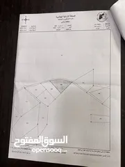  3 ارض للبيع في مادبا منطقة الفيحاء ومطلع على البحر الميت