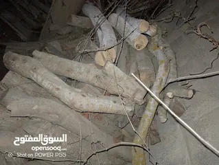  28 تشكيلة حطب للبيع
