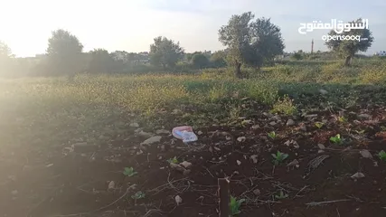  2 عقار للبيع
