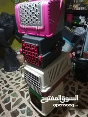  3 قفص قطط للبيع