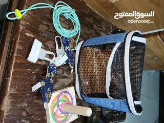  2 شنطه لحمل الطير + فوط عدد 2 للطيور+حبل لربط الطير من رجله عند اخراجه للحديقه +لعبه للعصفور
