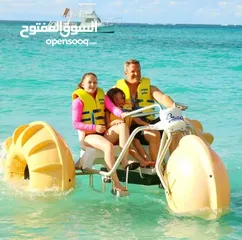  4 Advance small boat for tourism