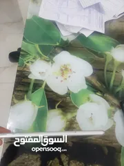  13 ايباد ابل ميني 2 ذاكره64