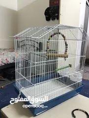  1 قفص عصفير بحاله جديدة