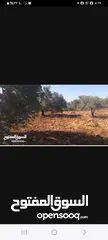  1 ارض للستثمار في منطقه كوبر مساحه دونم و300 متر المساحه للستثمار