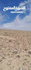  6 استثمر .أرض لمشروعك الخاص