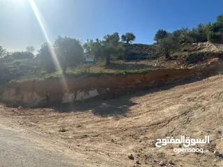  3 قطع سكنيه (سكن ج ) منطقه(عين جنا/ عجلون) وسط البلد،مرتفعه واطلاله جميلة على القلعة واصل جميع الخدمات