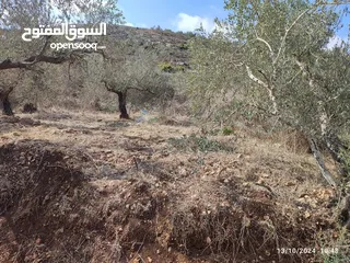  4 للبيع – قطعة أرض مميزة في أجنسنيا – نابلس