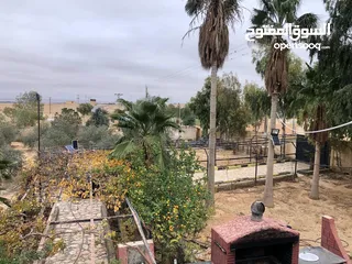  1 مزرعة مميزة و مشجرة للبيع بسعر مغري