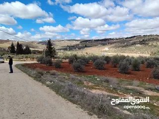  3 لقطه مزرعه مع بيت ريفي 48 الف قابل للتفاوض منطقه ريف جرش