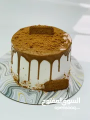  5 عالم الحلوى