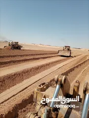 10 بلدوزر D8L +لودر 470 +حفارة 450 +حفارة 300 للإيجار
