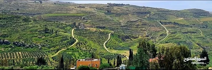  13 فيلا للبيع في أجمل المواقع في عمان تبعد عن الدوار السابع 15 دقيقه اطلاله مميزه على جبال فلسطين