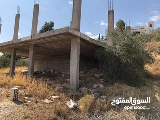  7 بلدية ارحاب/ حمامة العموش