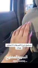  3 كريم ايفلين