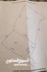 1 ارض للبيع مرتبة
