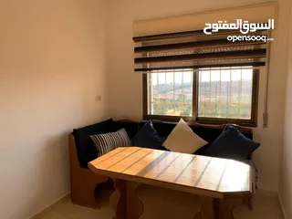  12 Furnished apartment for rent near ICS school. شقه مفروشه للايجار بجانب مدرسه الجاليه الدوليه ICS.