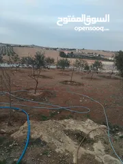  17 بيت للبيع في قريه دليله المطيرات شرق مادبا