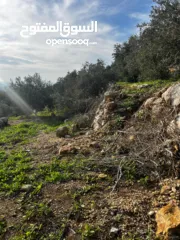  10 أرض للبيع بإطلالة غربية واصل جميع الخدمات