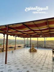  10 شاليه زهرة الجبل للإيجار