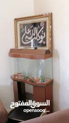  3 حوض سمك ....