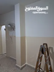  29 دهان شقق دهان بيوت House paintingدهان وأصباغ / جميع أنواع الدهانات بأسعار منافسه  وبدقه عاليه جداً