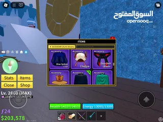  21 حساب روبلوكس للبيع (TSB/BLOX FRUIT) بسعر جيد (لا اقبل تبديل حسابات فقط كاش)