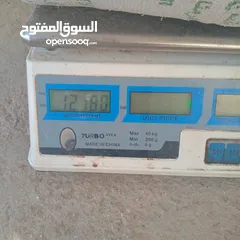  2 تبن احمر بيقيا