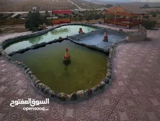  25 مزرعة بلعما المراجم قرب مدرسة المراجم مع ملعب ومسبح وقاعة شواء وبركة ونافورة وشلال