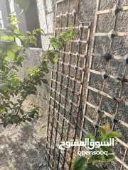  4 شبك حمايه+ رفوف