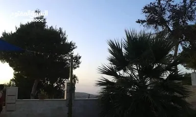  12 مزرعة و شاليه للبيع قرب منتزه زي مدينة السلط
