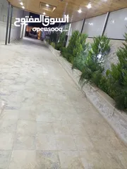  3 بيت او فيلا عمارة للبيع بسعر مغري جدا جدا