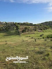  5 غرب سوف سهلات الغربيه قرب قصر السفير الاماراتي منطقه فلل و مزارع راقيه