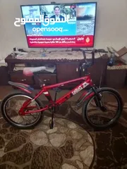 1 بسكليت امريكي