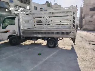  1 بك كيا بنجو