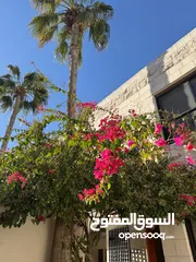  2 Semi detached Villa in Dahyet Al Rasheed