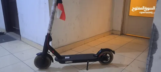  2 Electric Scooter