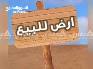  1 ارض اربعه دلومه طابو