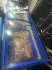  2 الشافعي الباذان