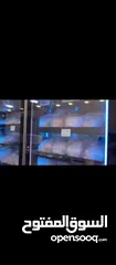  4 محل دواجن للبيع