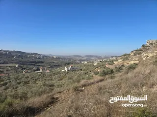  1 ارض 2600 متر اجنسنيا