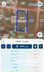  5 ارض للبيع في عبين السعر كامل القطعه
