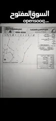  1 للبيع ارض مستوية مساحتها (5620 م2) في خربة الرشواني - علان - البلقاء