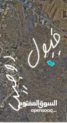  6 احمد ابو مصطفى